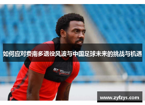 如何应对费南多退役风波与中国足球未来的挑战与机遇
