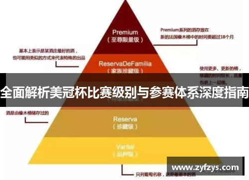 全面解析美冠杯比赛级别与参赛体系深度指南